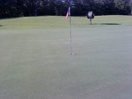 Closest to hole in one this year